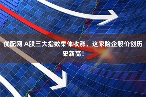 优配网 A股三大指数集体收涨，这家险企股价创历史新高！