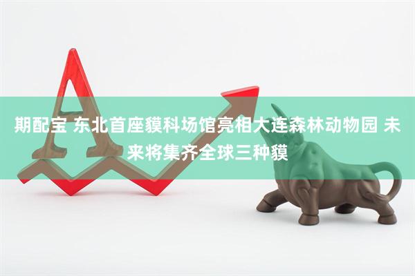 期配宝 东北首座貘科场馆亮相大连森林动物园 未来将集齐全球三种貘